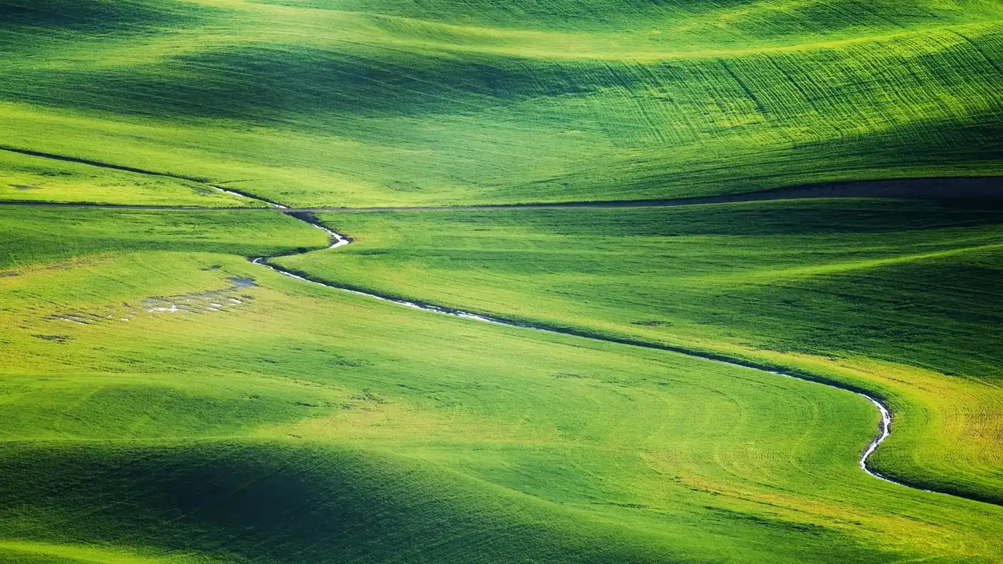 绿色护眼大草原自然风光桌面壁纸-风景壁纸-手机壁纸下载-美桌网