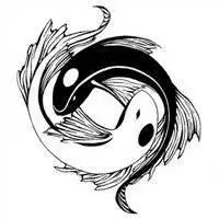 太极两仪头像图片大全_微信头像图片大全