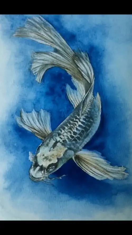 水彩鱼