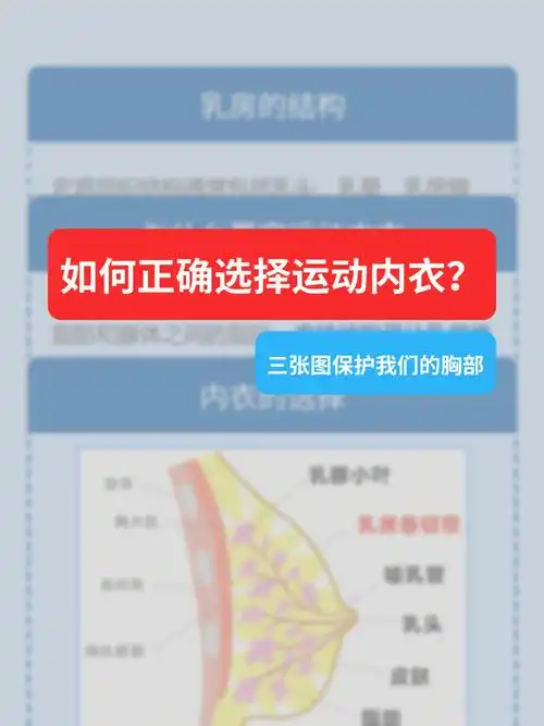 乳晕,乳房腺体,脂肪以及支持结构乳房悬韧带共同构成