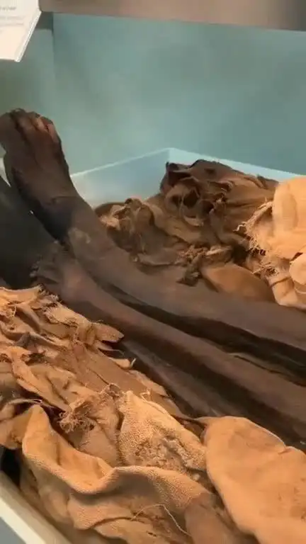 古埃及法老金字塔内的木乃伊,古埃及人对尸体不腐处理技术真的了不起