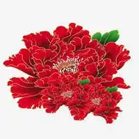 大红牡丹花微信头像图片大全【点击鼠标右键下载】