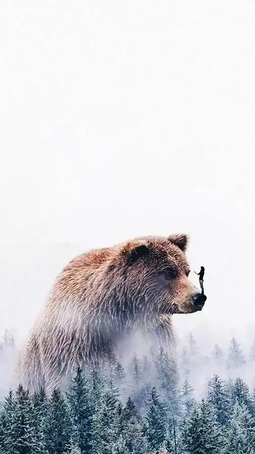 唯美个性创意高清手机壁纸图片