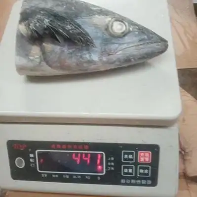 鲅鱼价格行情_今日鲅鱼价格多少钱一斤 _ 一亩田