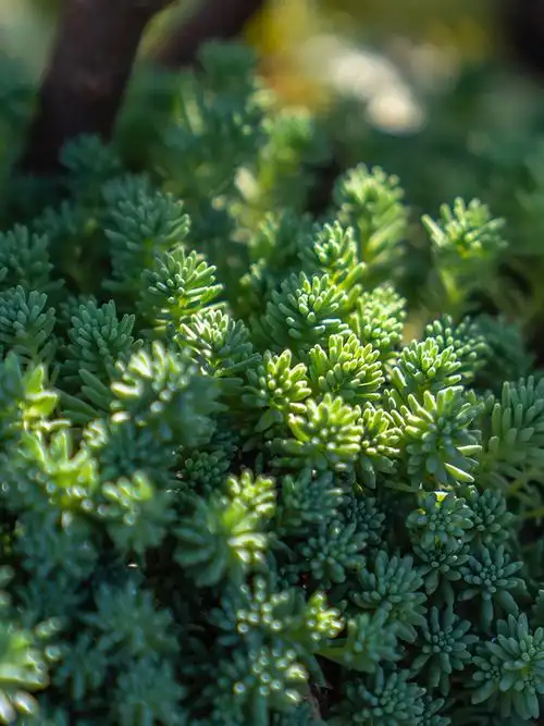 万年优惠专场,最新打折特卖商品,淘宝天猫优惠券领取-35优惠券网站