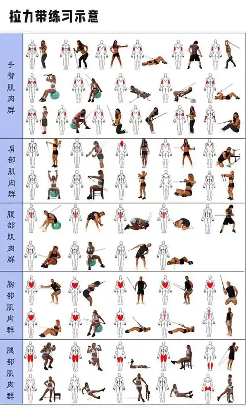 也并不一定完全相同还要注意预先刺激目标训练肌肉热身方式有很多种