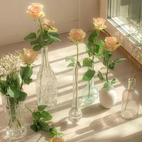 朋友圈背景图|精选文艺,小清新系列