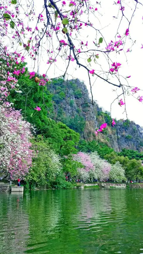 花香四射,山水如画【首发】