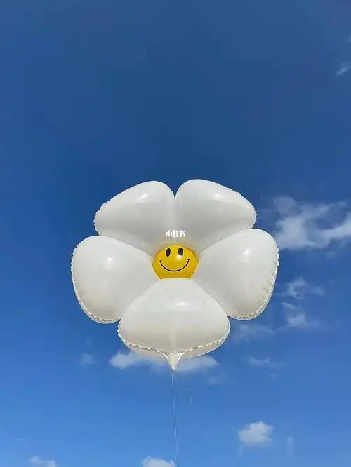 大家那边这个气球多少钱一个