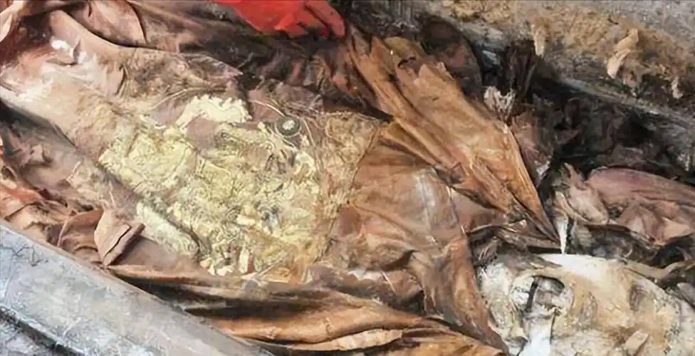 《康熙王朝》蓝齐儿原型:穿龙袍下葬,尸身240年不腐