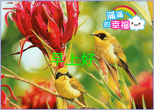 微信早上好动态图片带鲜花,早上好动态表情图片大全