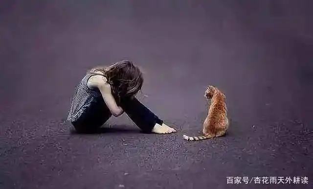 小学生留字条后跳楼:愤怒的家长想找悲观厌世主义倡导者玩命