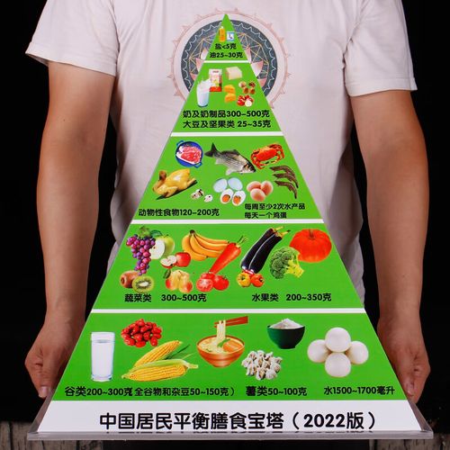 中国居民膳食金字塔 2022新版膳食宝塔食物模型中国居民平衡营养