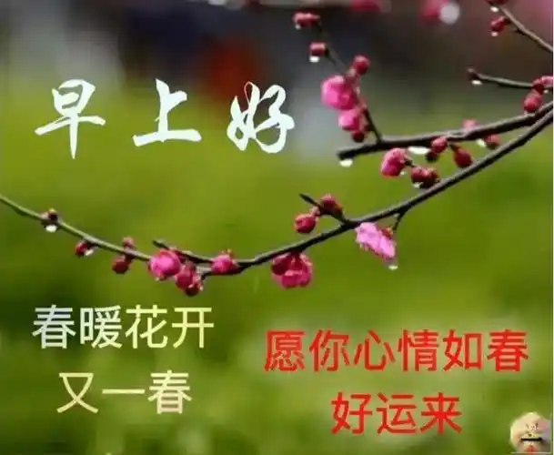 原创7张特别漂亮的新版春日暖心早上好图片大全早晨好阳光问候语图片