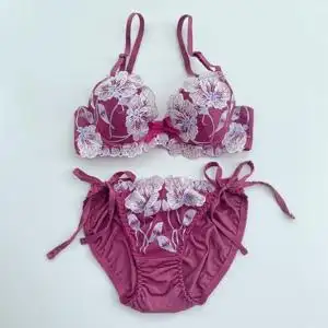 a-e1外贸 日单 灼热*家 紫红色 大花朵刺绣 文胸套装abe