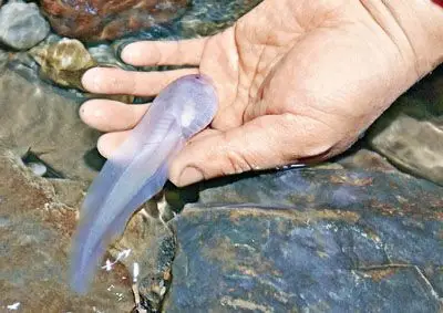 【打印】 香港文汇报