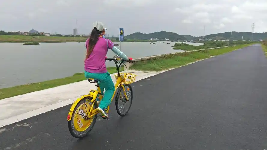 骑着小黄车到兰溪看那片花海