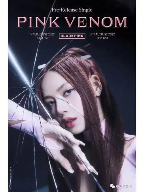 blackpink新专辑个人海报