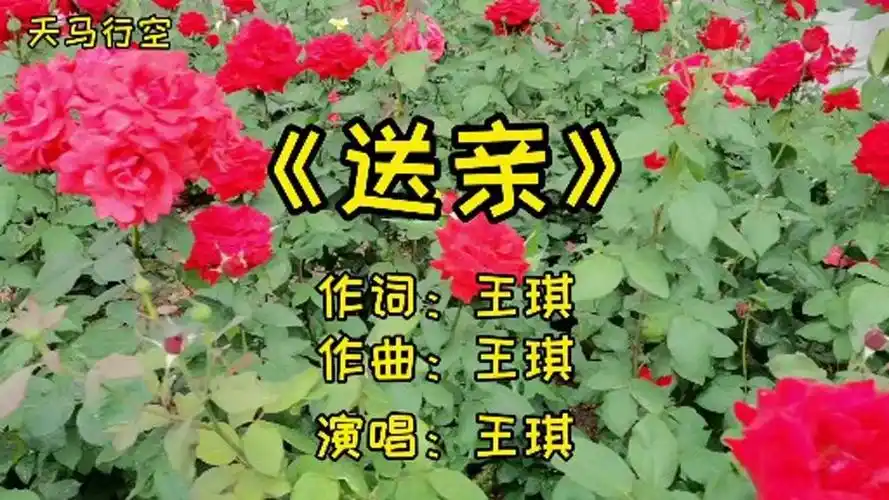 王琪的原唱送亲感动人之深