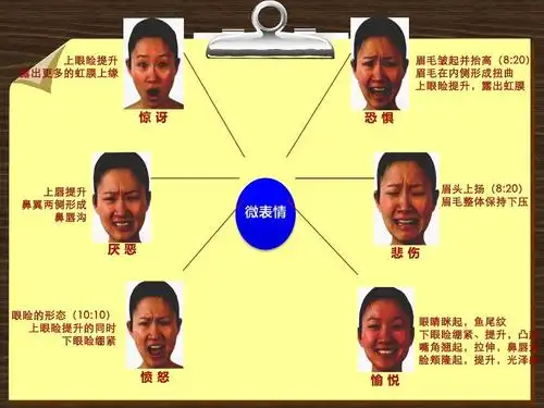 面部微表情有图详解ppt_word文档在线阅读与下载_无忧文档