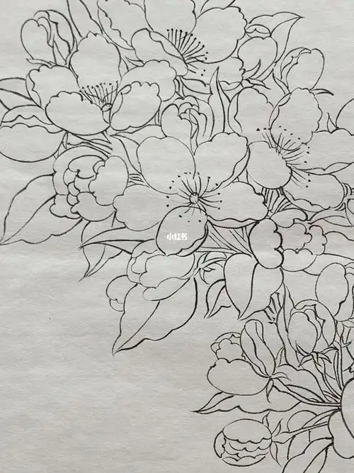 画画  #白描#国画工笔