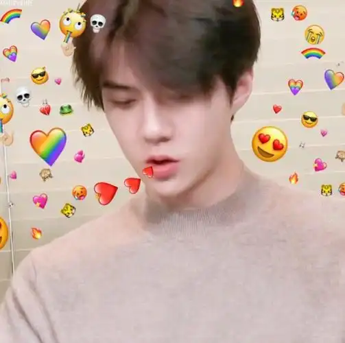 是我梦中的第一南韩仙子 犯人就是你系列之世勋emoji风可爱头像