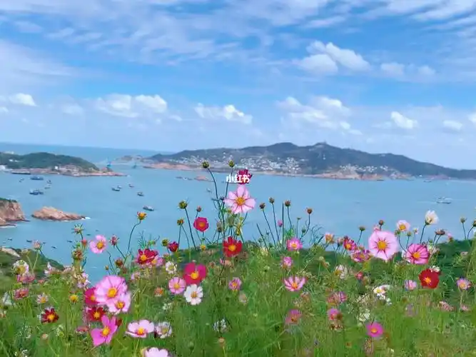 有花有海等风来