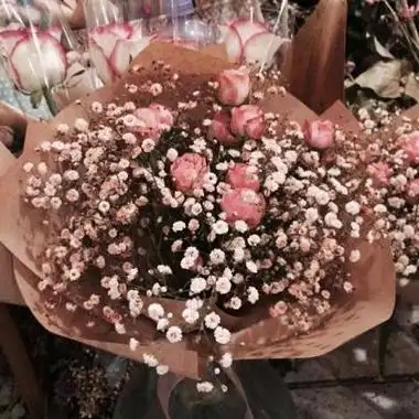 微信头像吉祥招财花朵 象征着好运的花卉头像精选