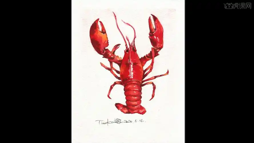 减压手绘美食水彩小龙虾图文教程