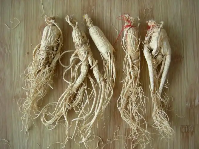 它是指人们传统公认的且来源于特定产区的具有中国特色的名优正品药材