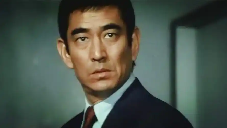 电影原声,高仓健,中野良子主演的电影《追捕》插曲