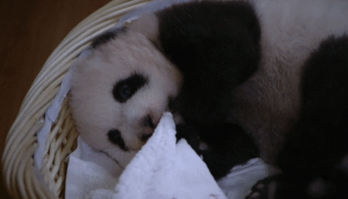 裹紧我的小被子