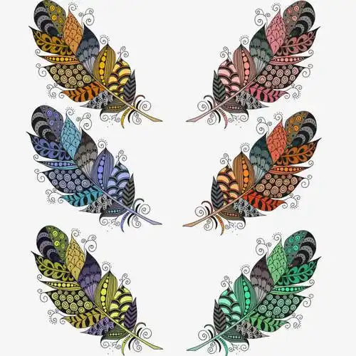 彩色的羽毛图案设计