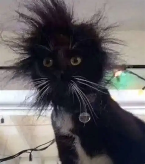 爆炸黑脸爆炸黑脸头像图片大全2022已更新今日热点