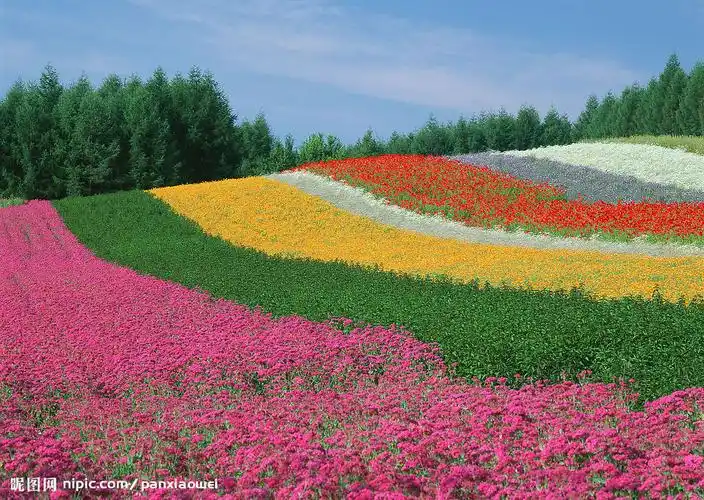 『原创』主题: 公开坐庄中国太保(2009-02-02)