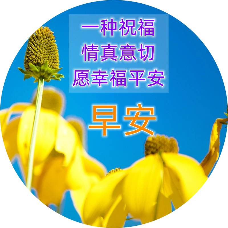 早上好问候语 最新早上好精致图片 最新微信最新带字早上好图片