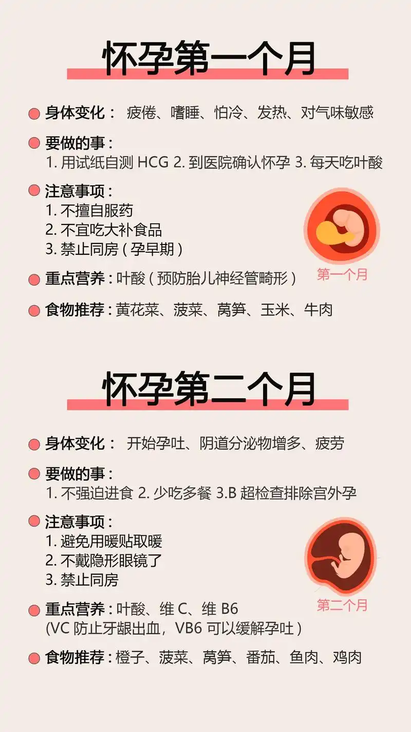 一篇看懂怀孕每月做什么?孕妈每月注意事项