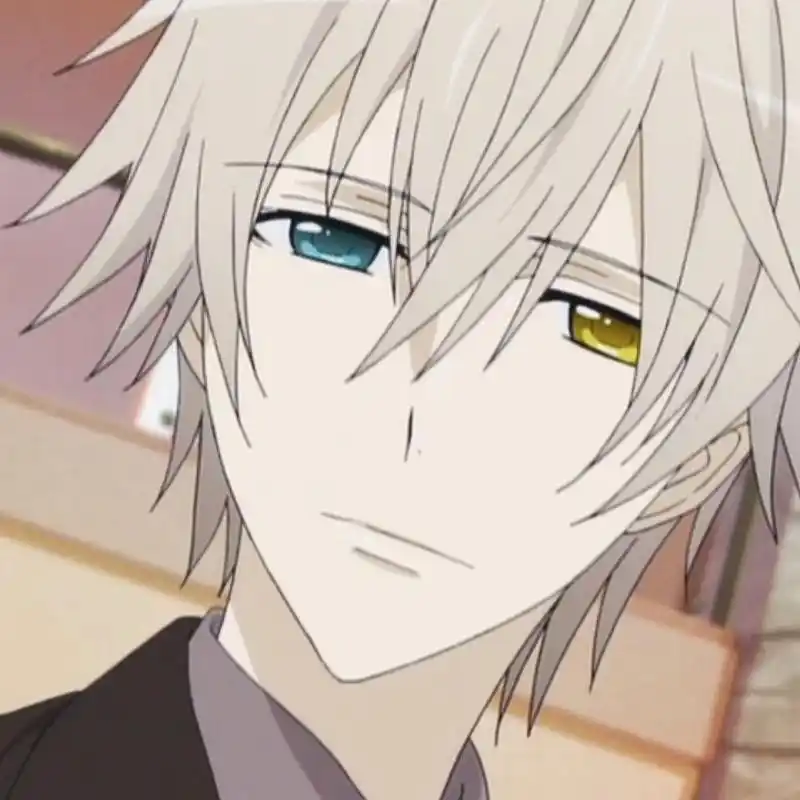 《妖狐×仆ss》中的御狐神双炽是白鬼院凛凛蝶的ss,对凛凛蝶有像忠犬