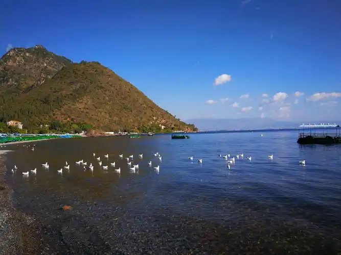 抚仙湖禄充风景区 风景优美 湖水碧蓝 清澈透明 在阳光白云的衬托下