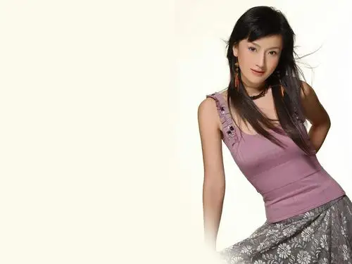 壁纸美女美女明星孙宁写真高清