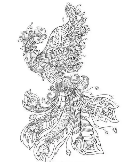 黑白线稿高清凤凰白描线稿赶快收藏