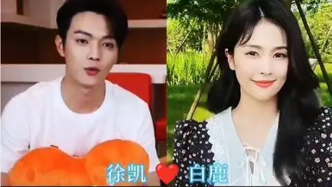 姚晨|周冬雨|张艺兴|易烊千玺_网易订阅