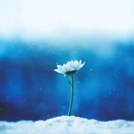 67人生留一半清醒留一半醉