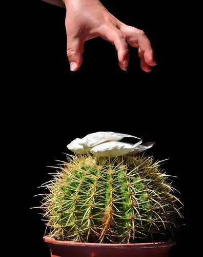 禁毒云展览摄影篇一睹镜头下的禁毒故事