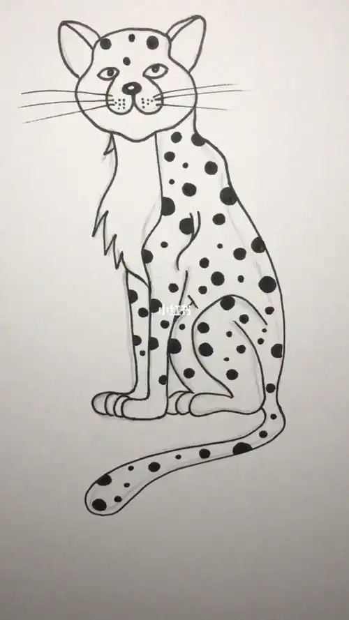 每日一画线描一只豹子
