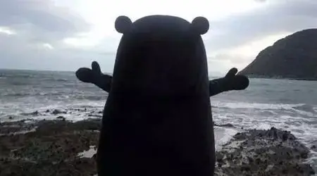 唯美 意境 #熊本熊#背影表情包 #gi.