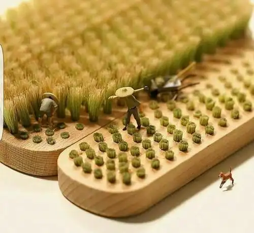 精美趣图分享|趣图_新浪新闻