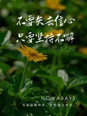 简约清新花朵摄影奋斗励志小红书封面