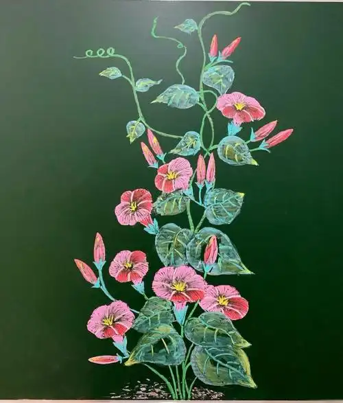 彩色粉笔画(三)黑板画绿植鲜花,虾08,鱼等素材分享#粉笔画能有多