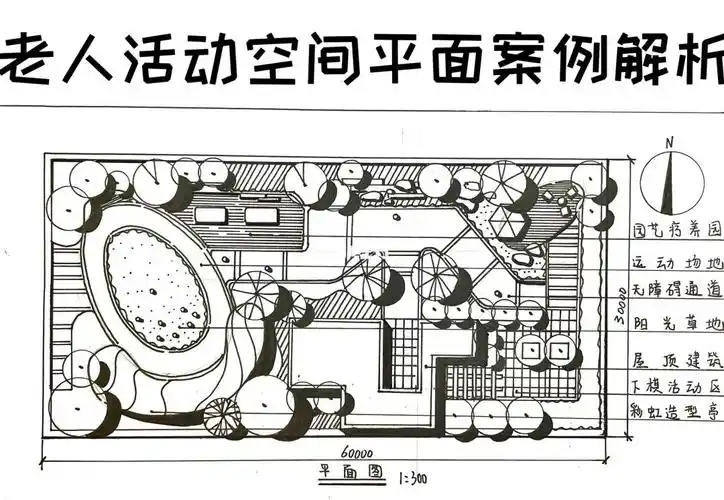 老人活动空间平面案例/屋顶花园平面案例解析1:300 30x60米7415